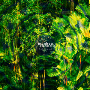 Final Artwork Monkey Funks
